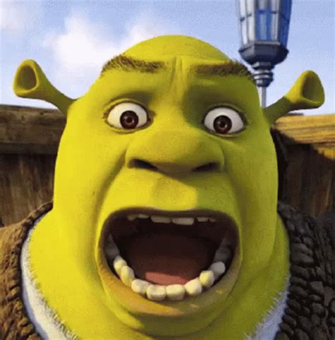 shrek gifs